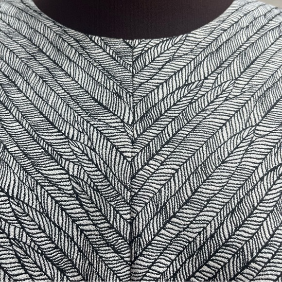 EUC Zara Basic collection neutrals pattern short sleeve mini dress - Picture 9 of 9